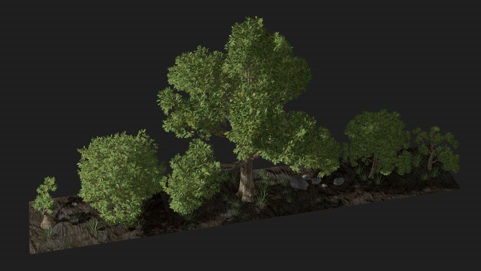 Five trees set R4 3D model_3