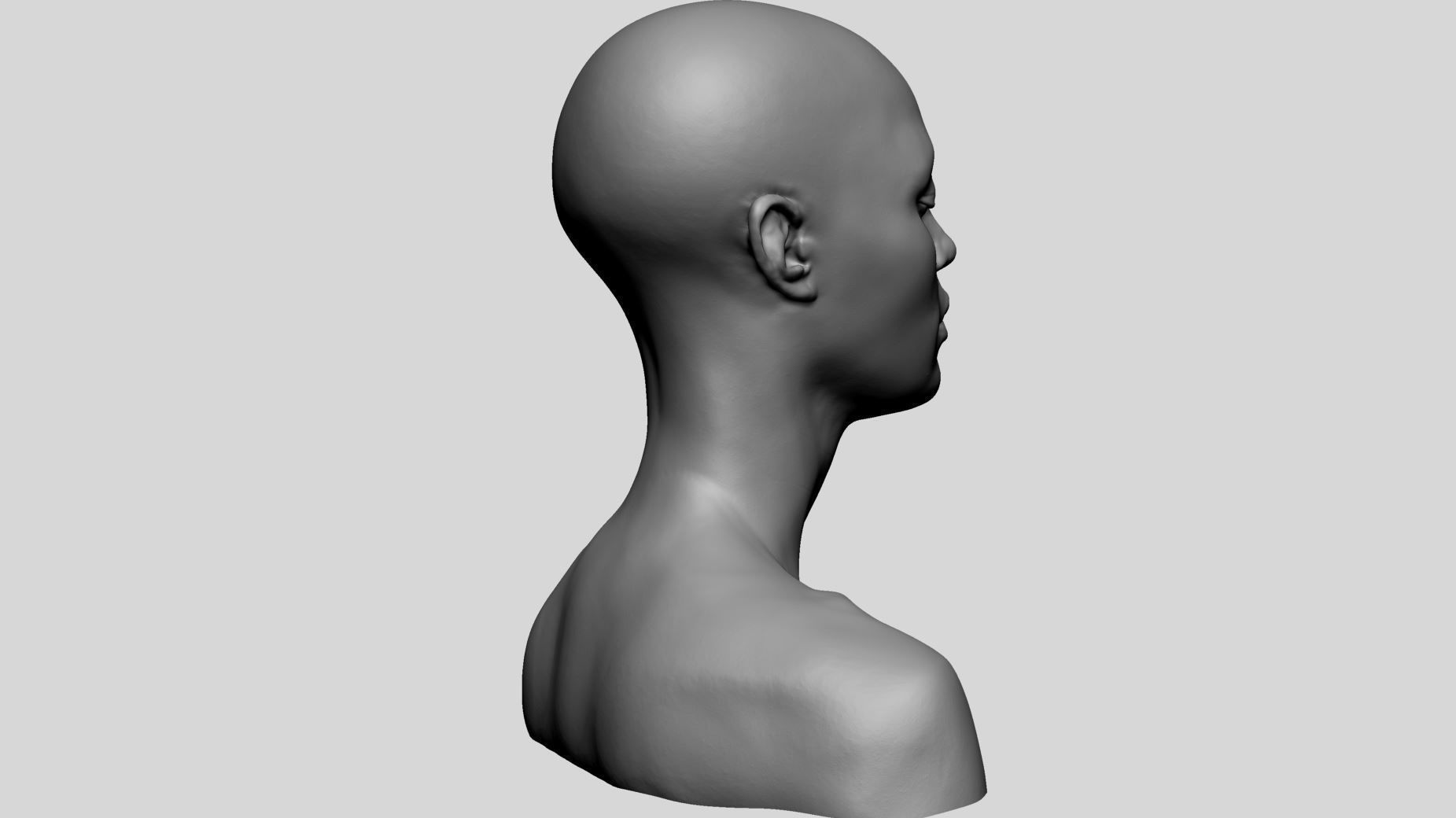 Female Head A 3D model_3