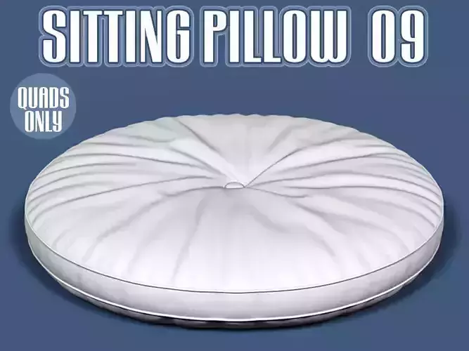 Sitting pillow 09