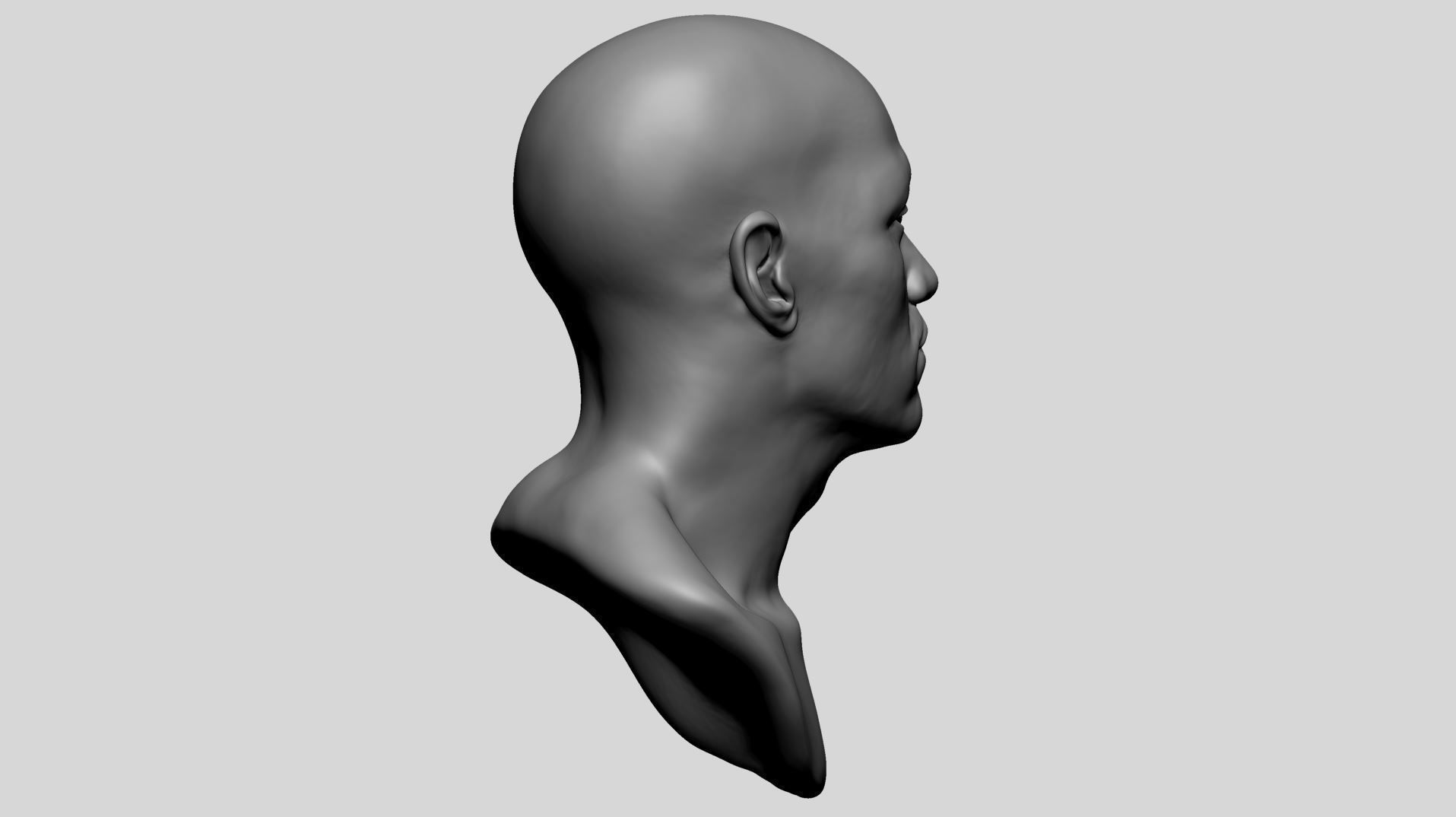 Male Head A 3D model_3