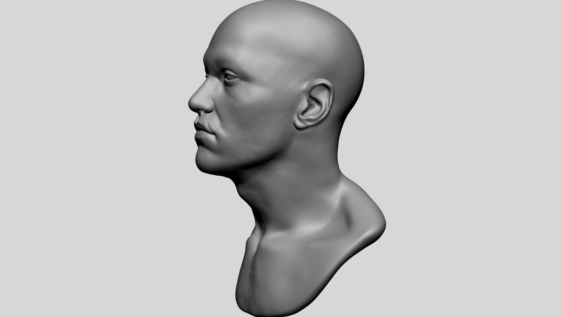 Male Head A 3D model_6