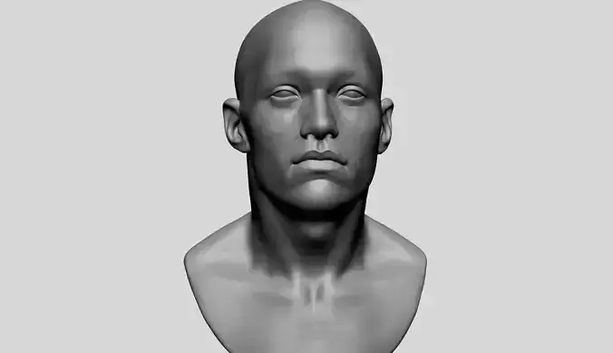 Male Head A 3D model