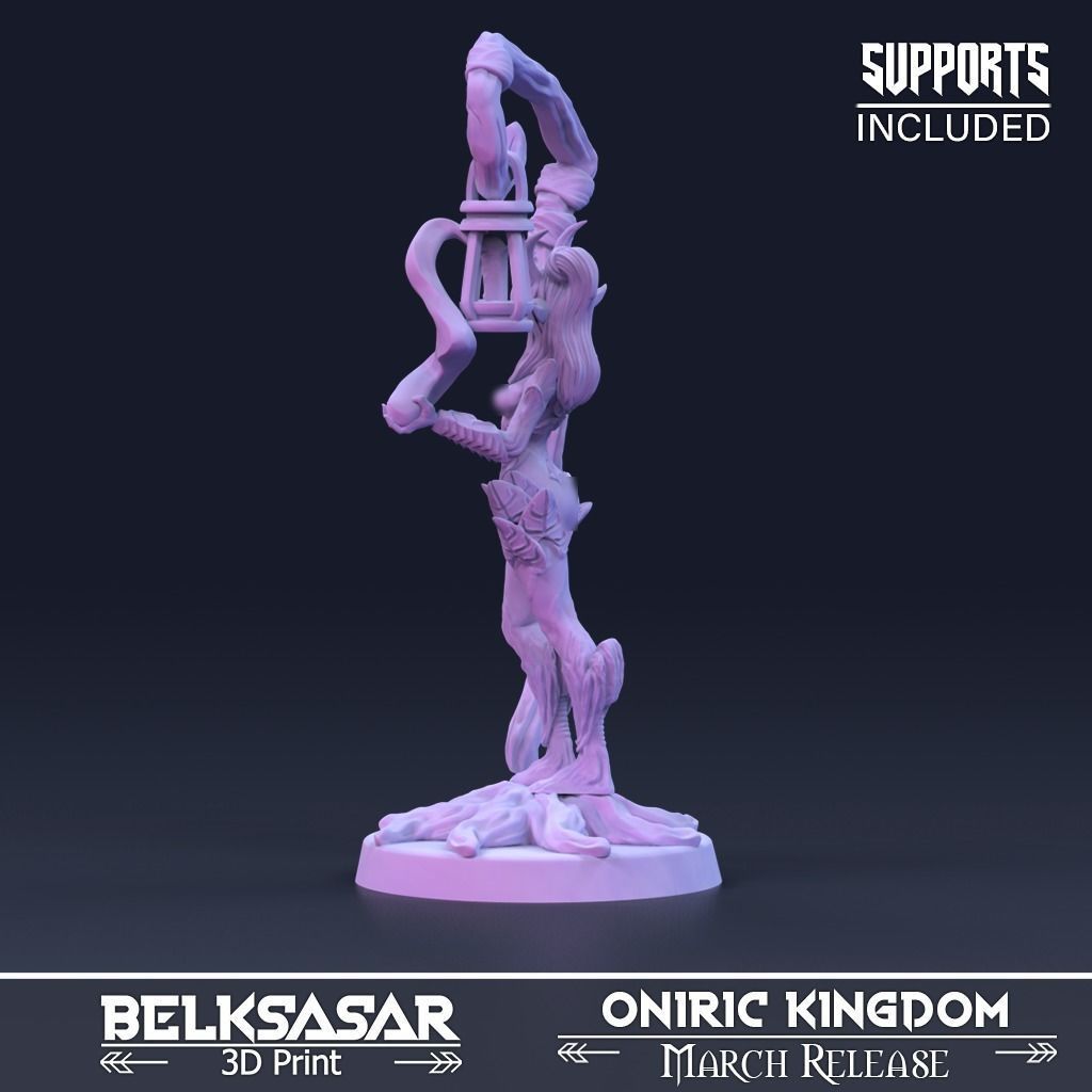 Druid Watcher of The Veil Normal and Nude 3D print model_3