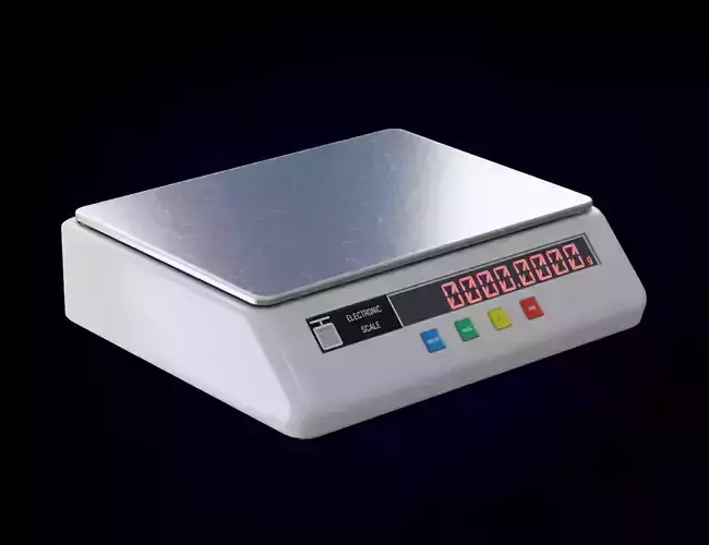 Electronic Scale