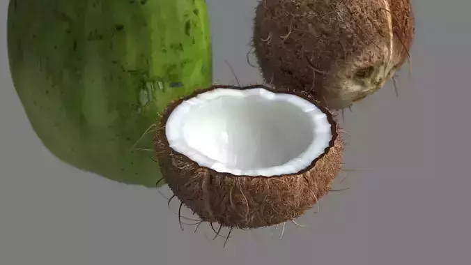 Coconut Coco 3D model