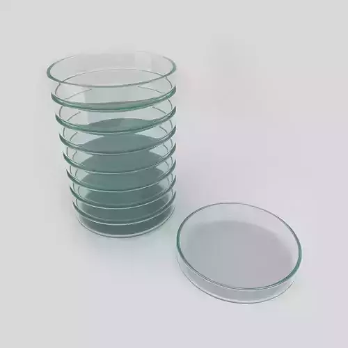 Petri dish 3d model  3D model