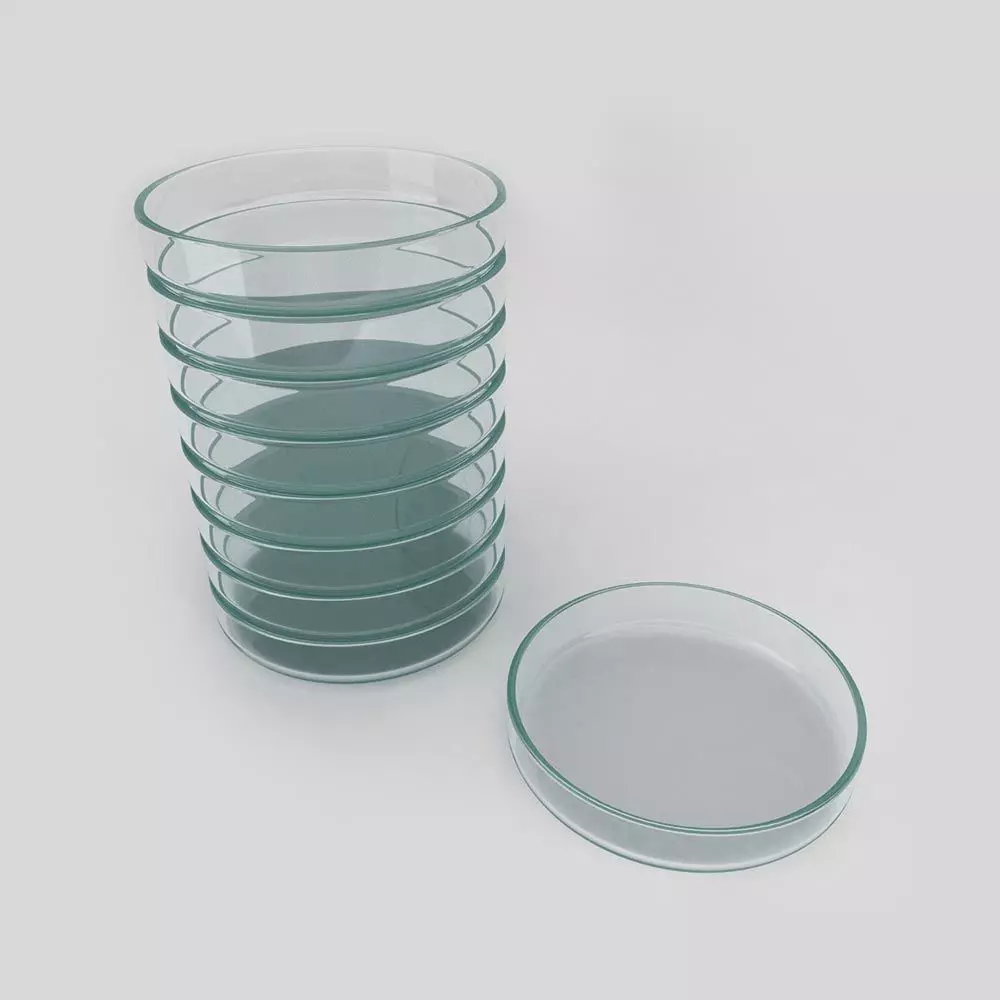 Petri dish 3d model  3D model_0