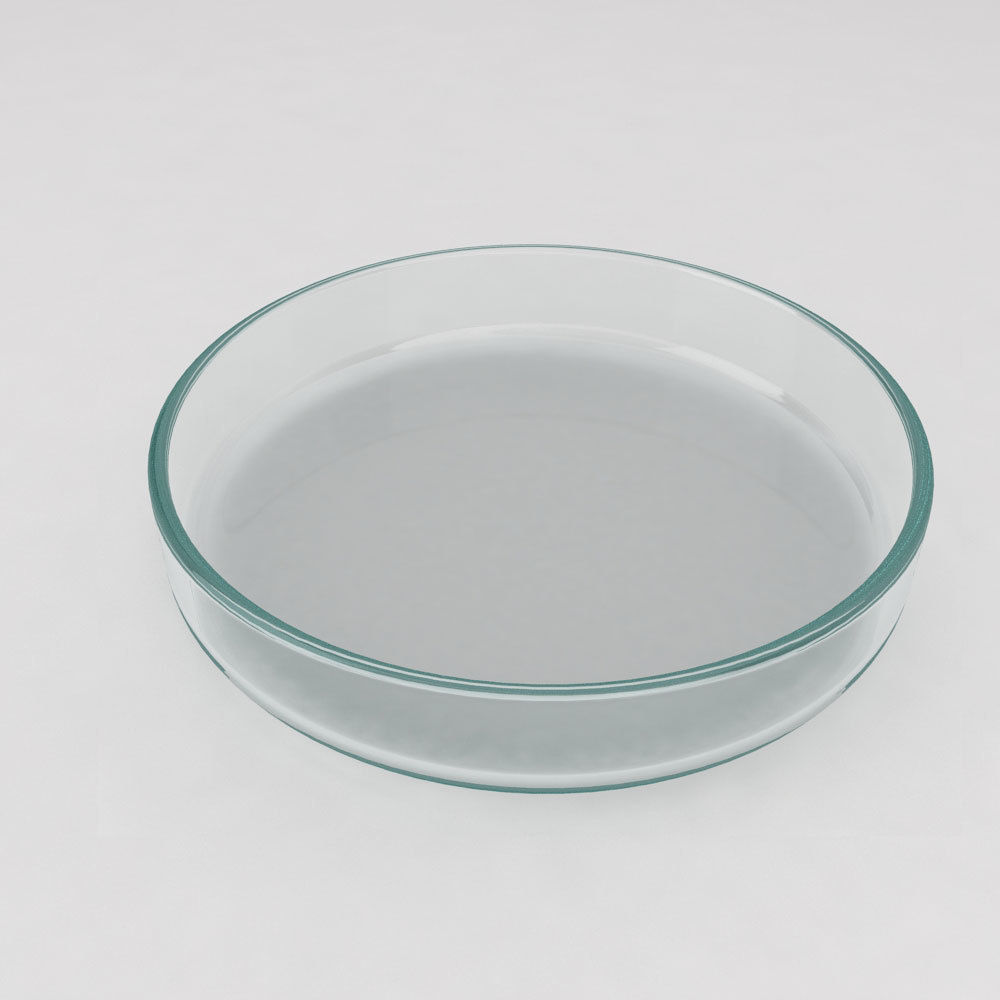 Petri dish 3d model  3D model_1