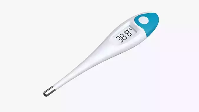 Thermometer digital 02