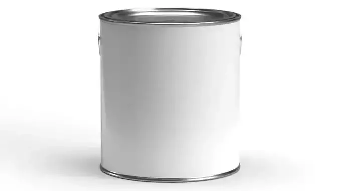 Half gallon paint can with plastic handle 