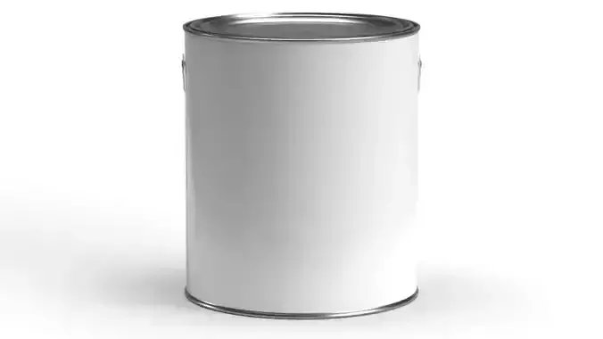 Gallon paint can with plastic handle 