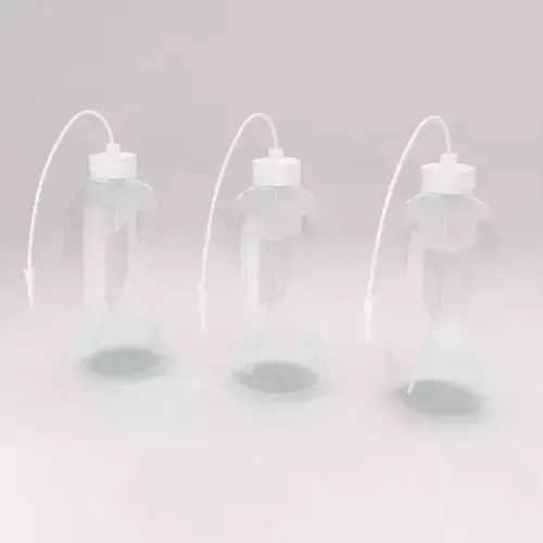 Laboratory wash bottle 3d model  3D model