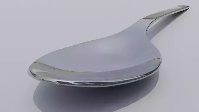 Stainless Steel Spoon