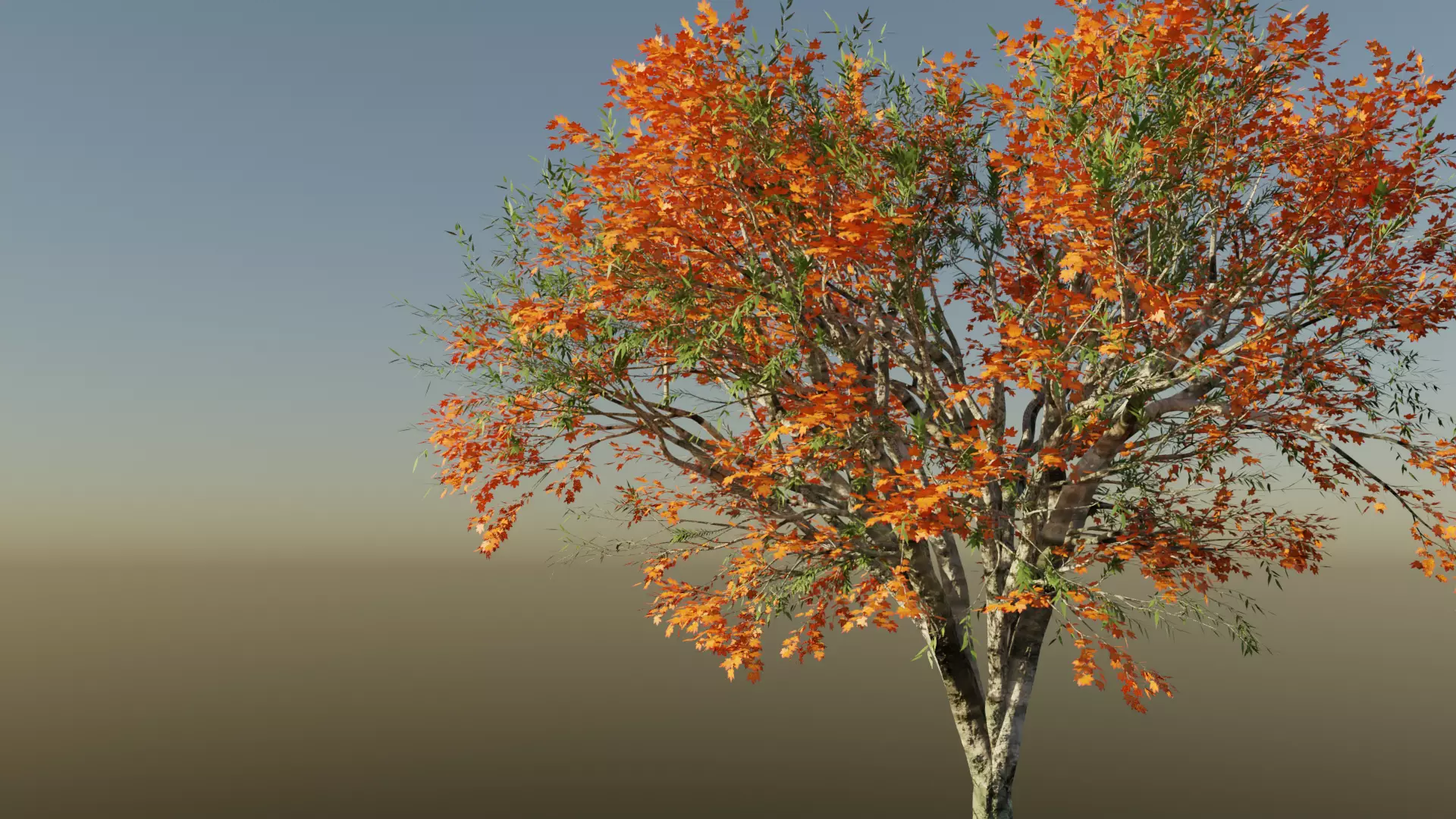 Realistic Trees-Pack of 2 Free low-poly 3D model