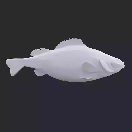 Perch 3D Print fish 3D print model