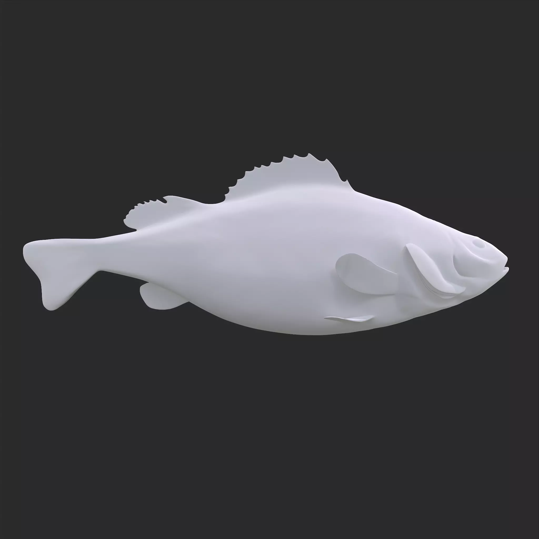 Perch 3D Print fish 3D print model_0