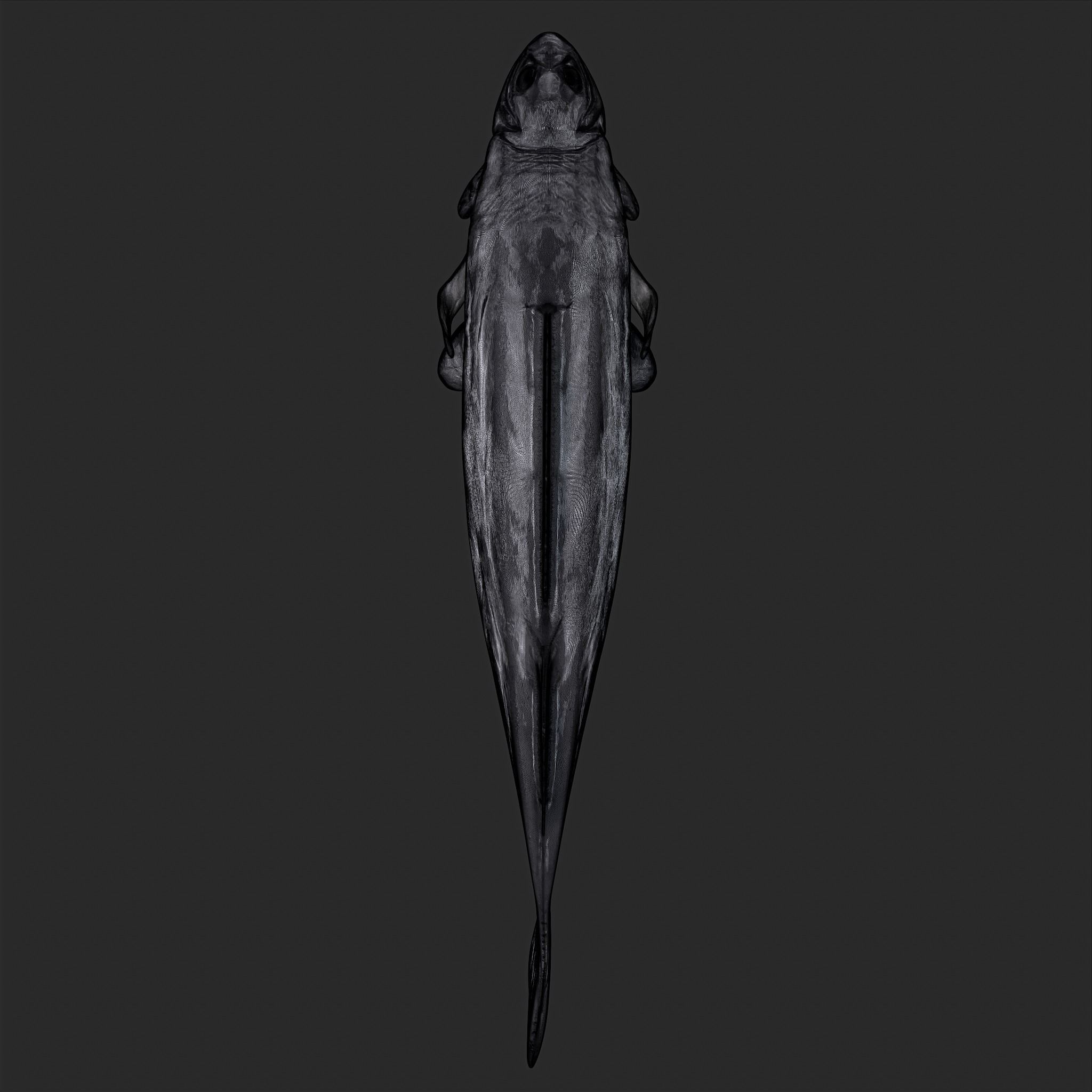 Perch 3D Print fish 3D print model_10