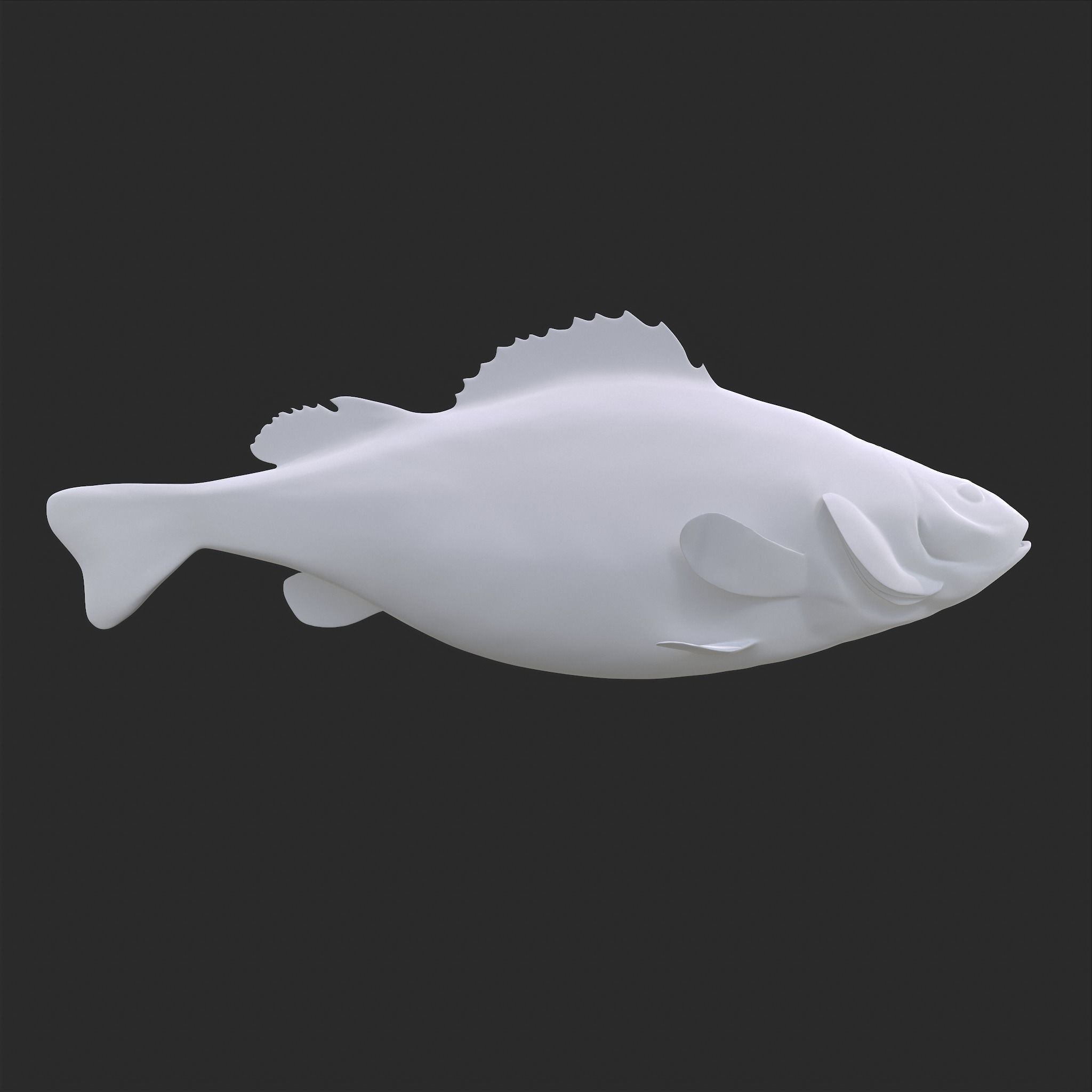 Perch 3D Print fish 3D print model_11