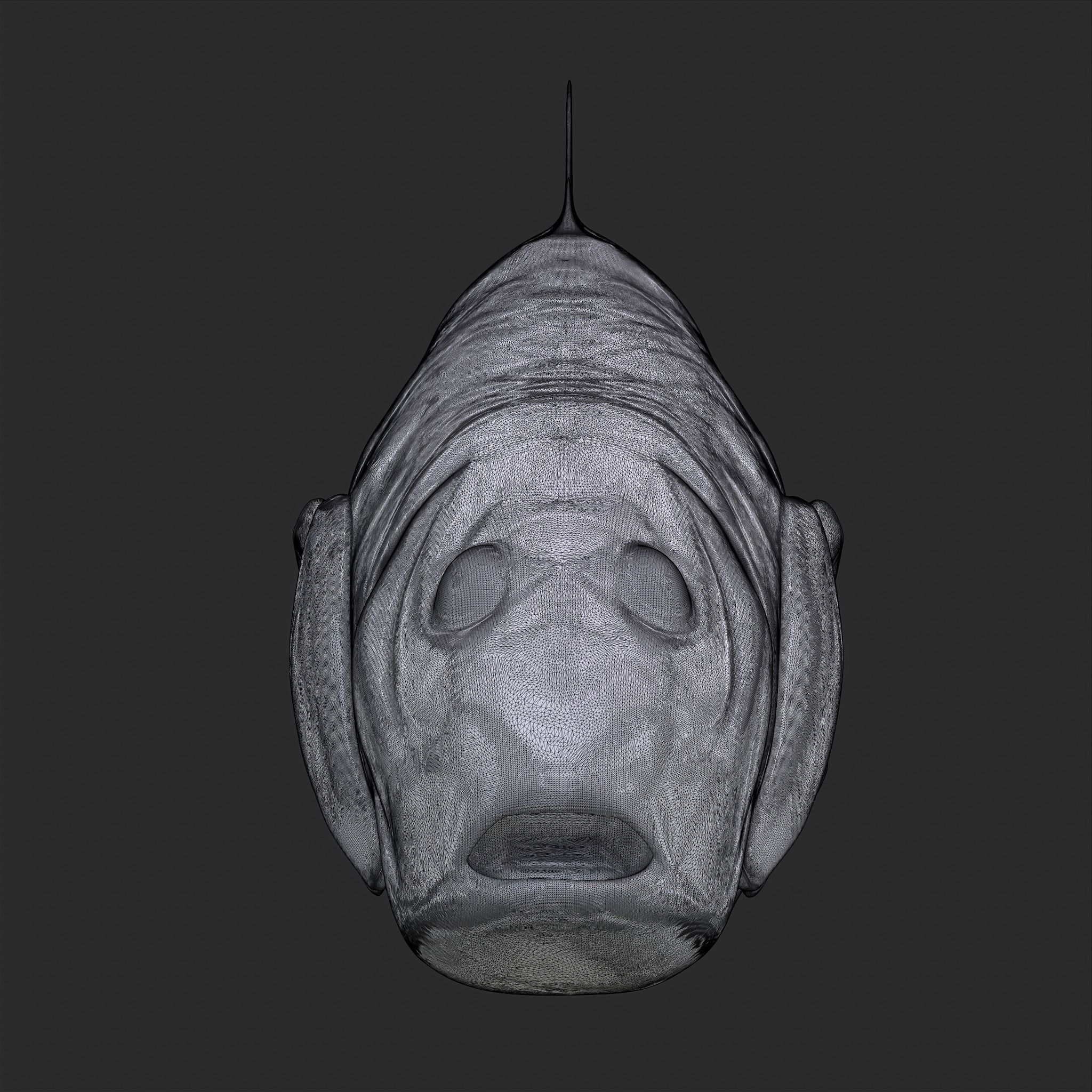 Perch 3D Print fish 3D print model_6