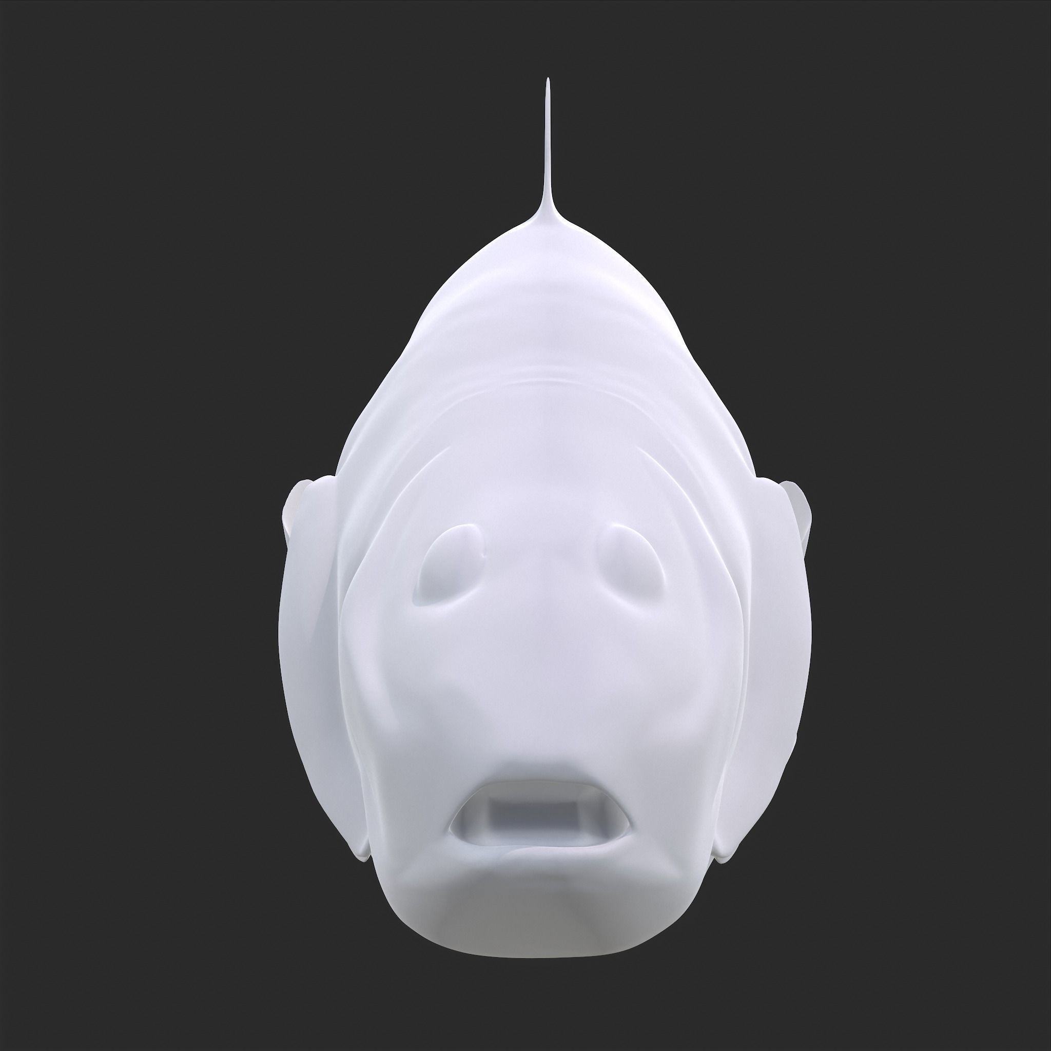 Perch 3D Print fish 3D print model_5