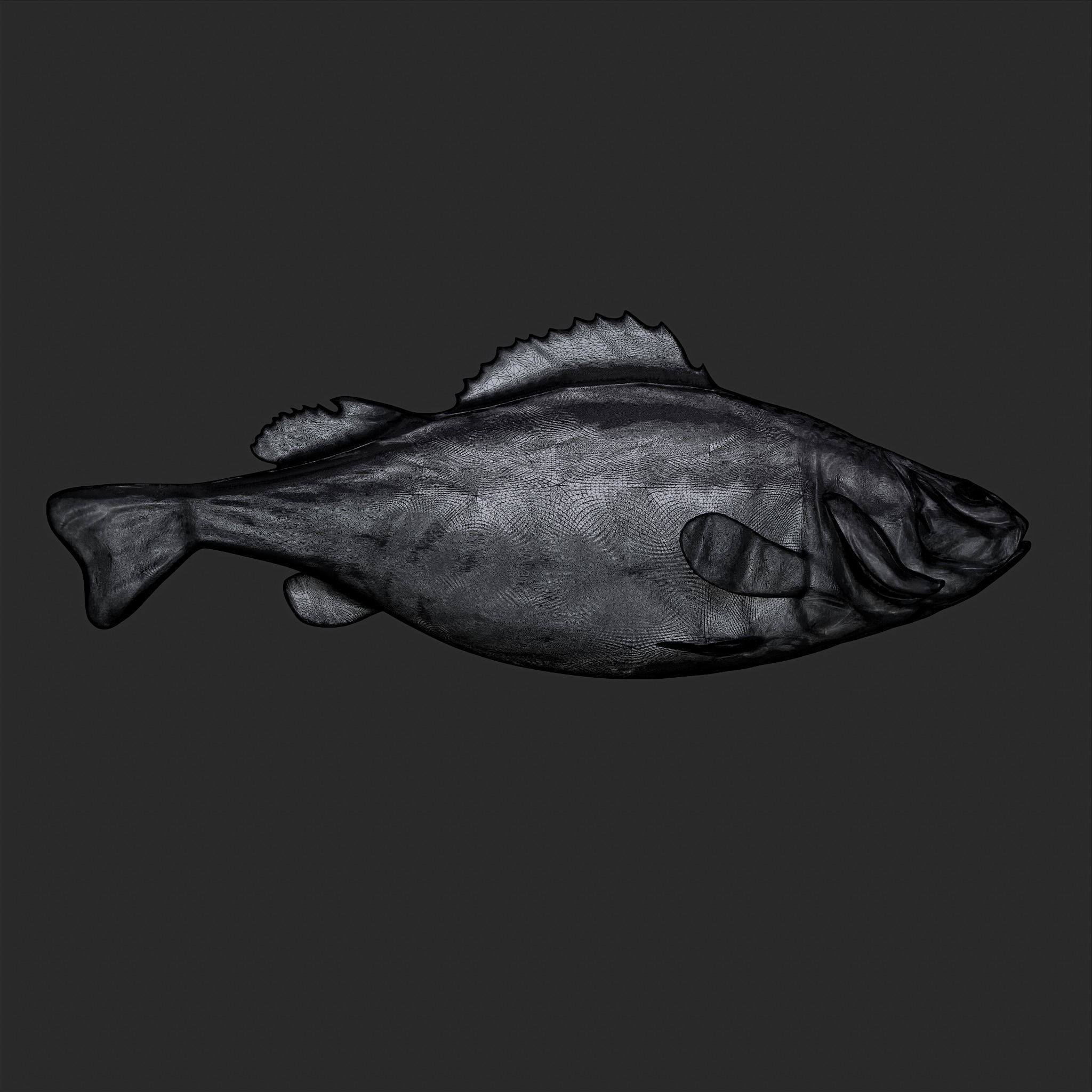 Perch 3D Print fish 3D print model_2