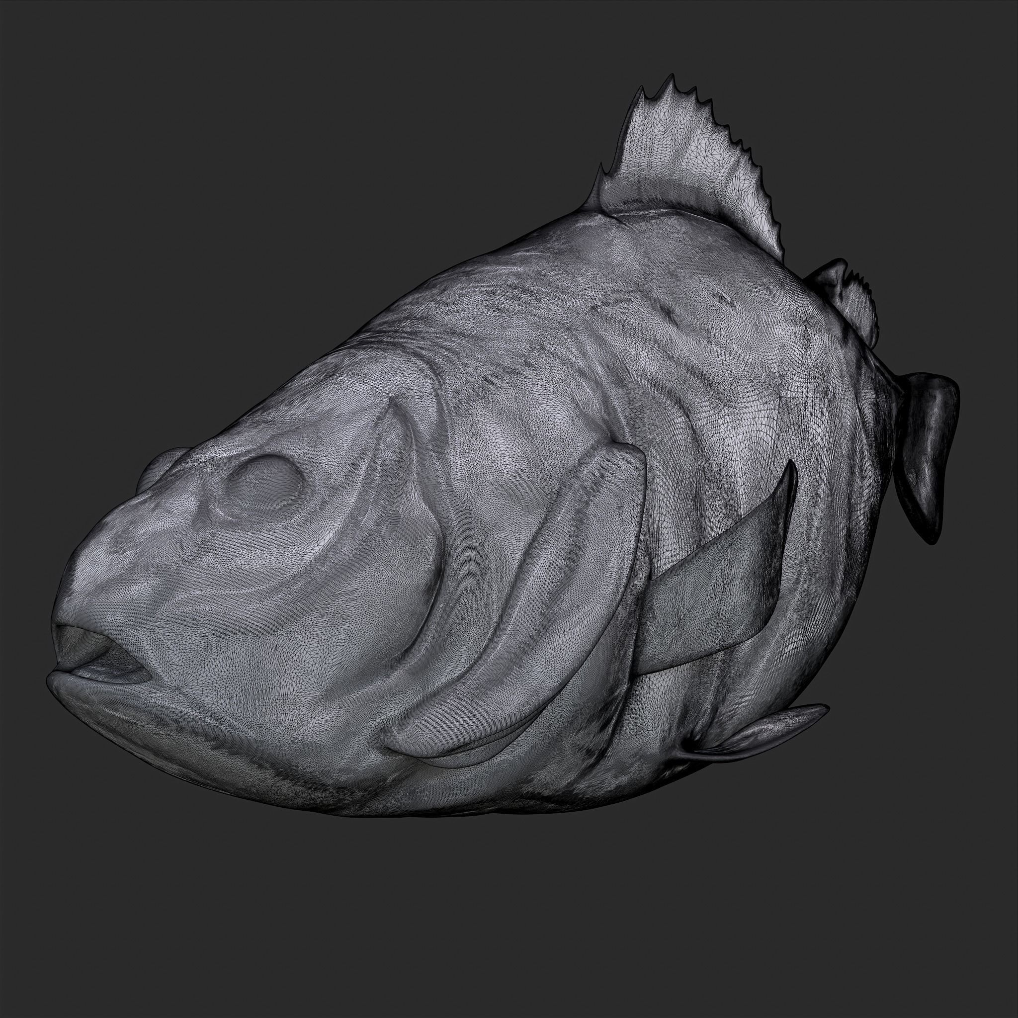 Perch 3D Print fish 3D print model_8