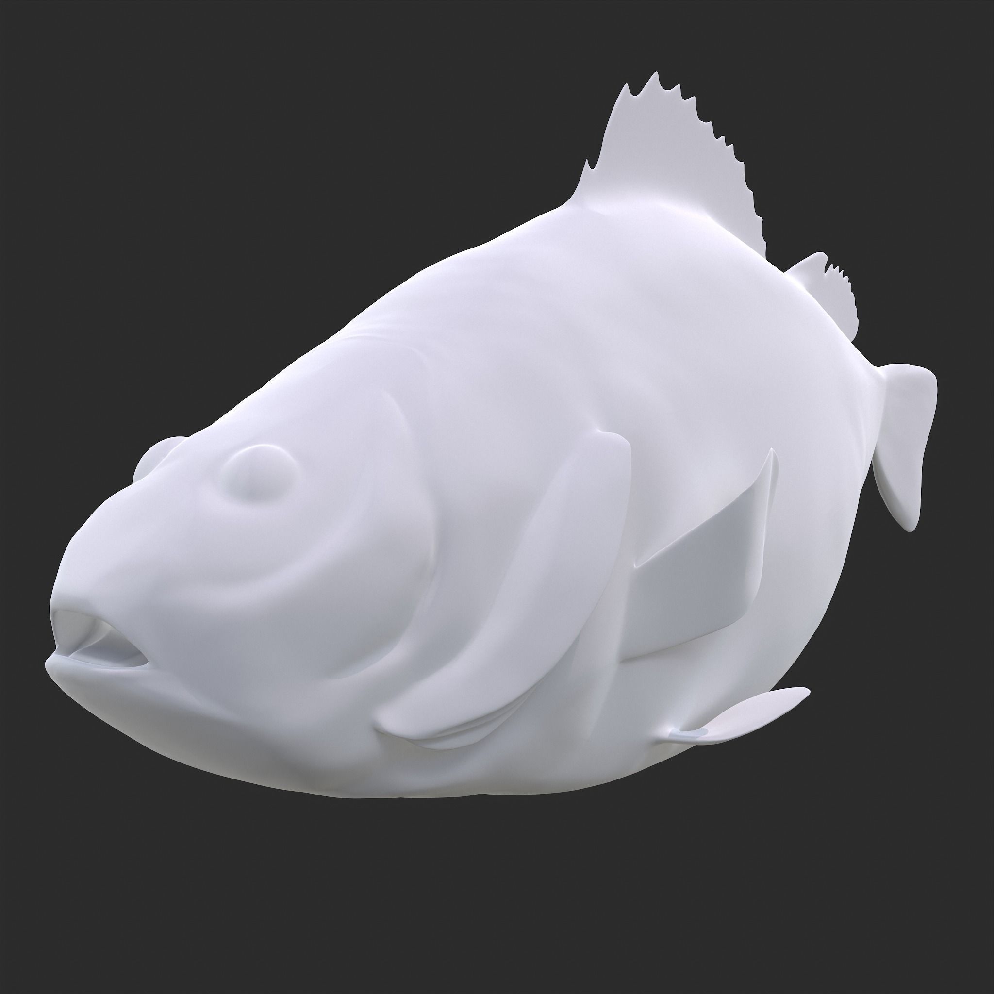 Perch 3D Print fish 3D print model_7