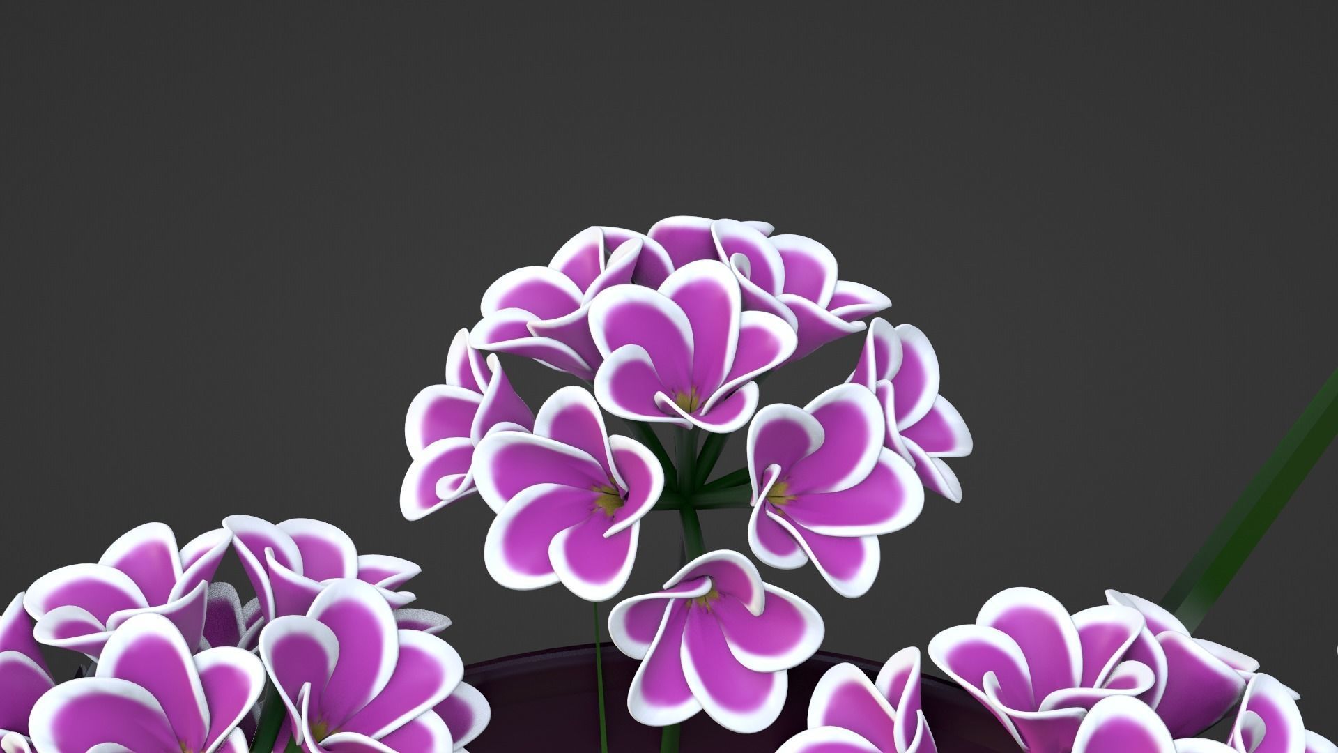 Decor bouquet of flowers in a vase 3D Model Collection_27
