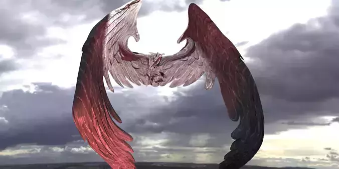 Dark Angel Wings 2  3D model