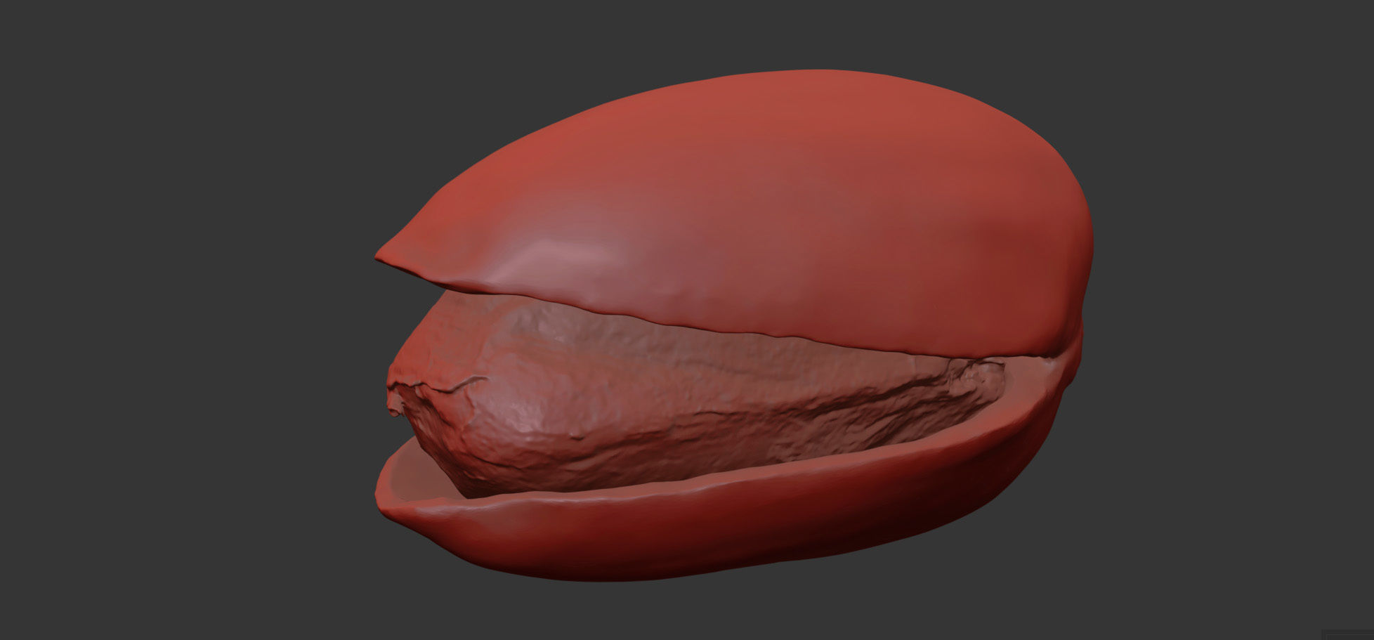 Pistachio 3D model_19