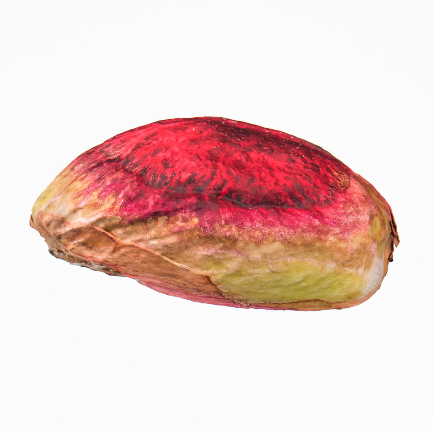 Pistachio 3D model_7
