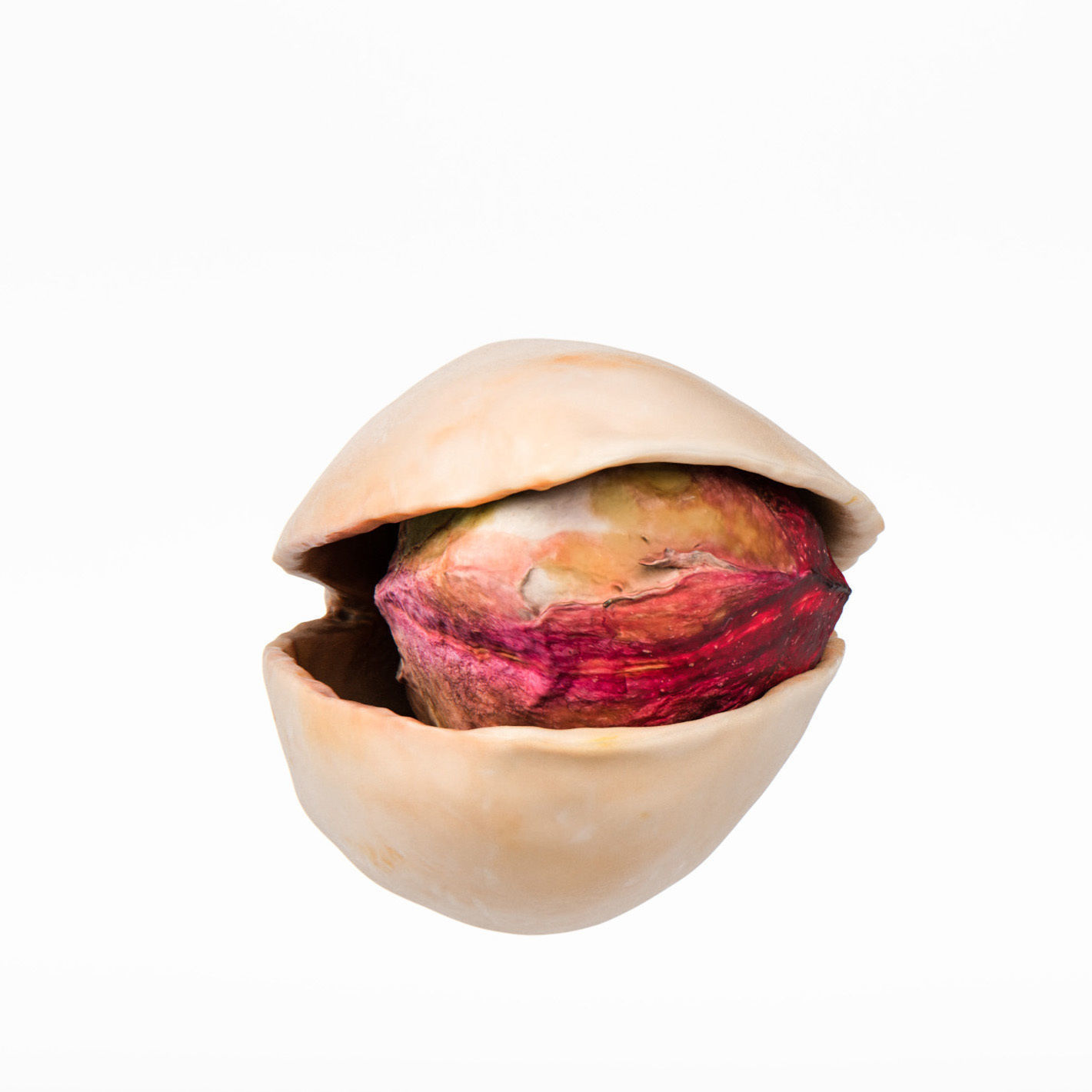 Pistachio 3D model_11