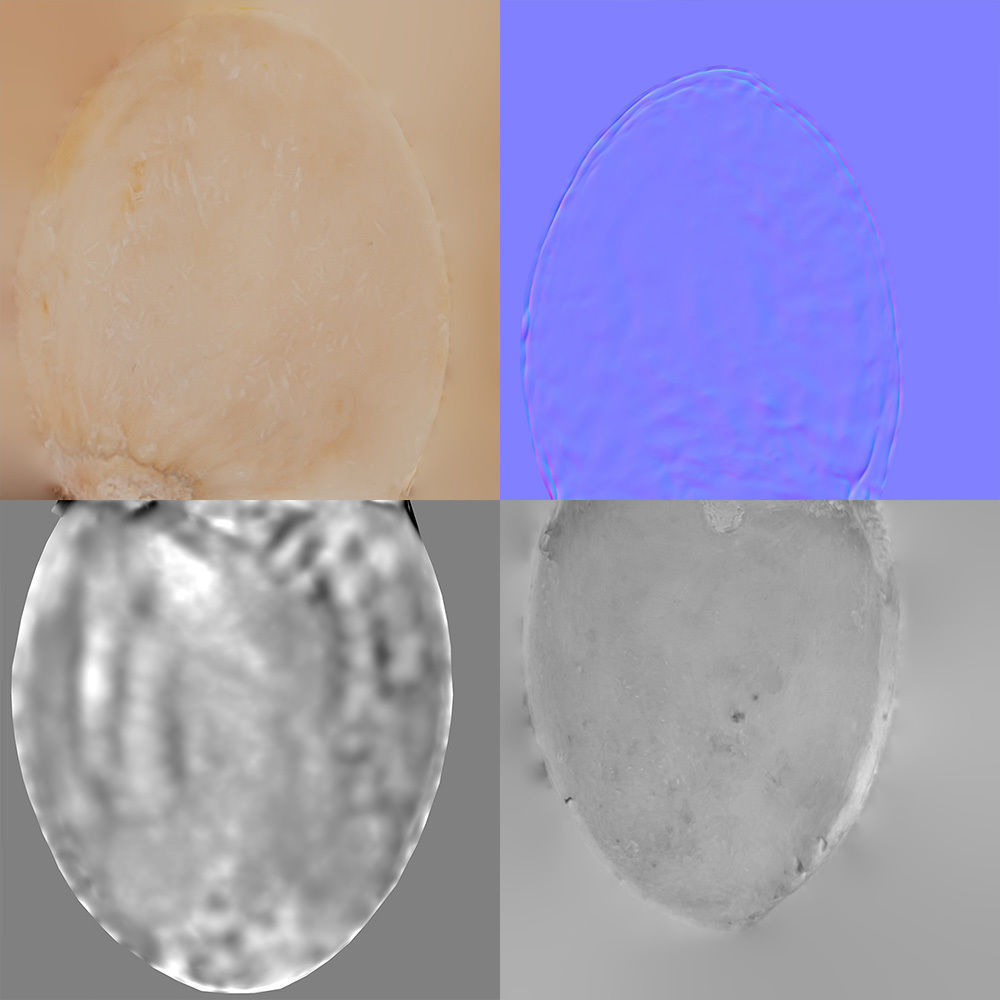 Pistachio 3D model_21