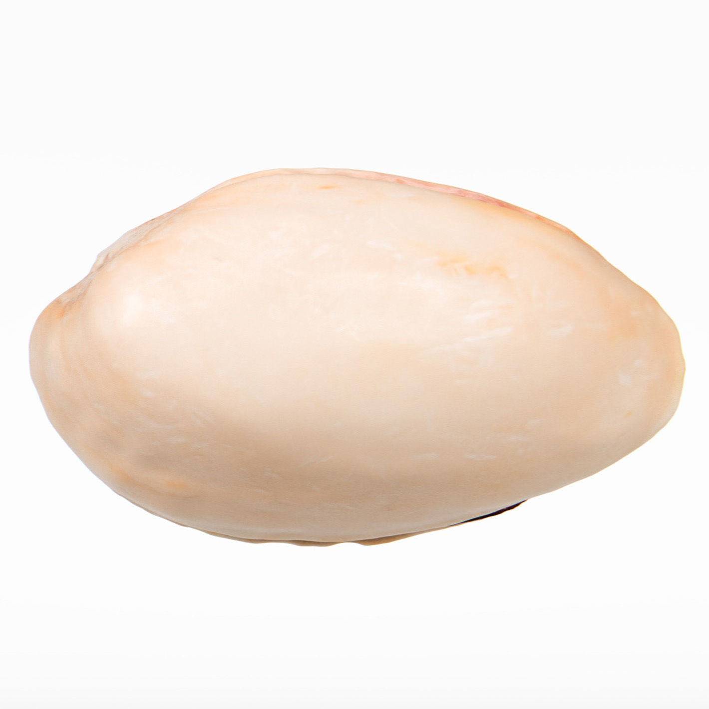 Pistachio 3D model_9