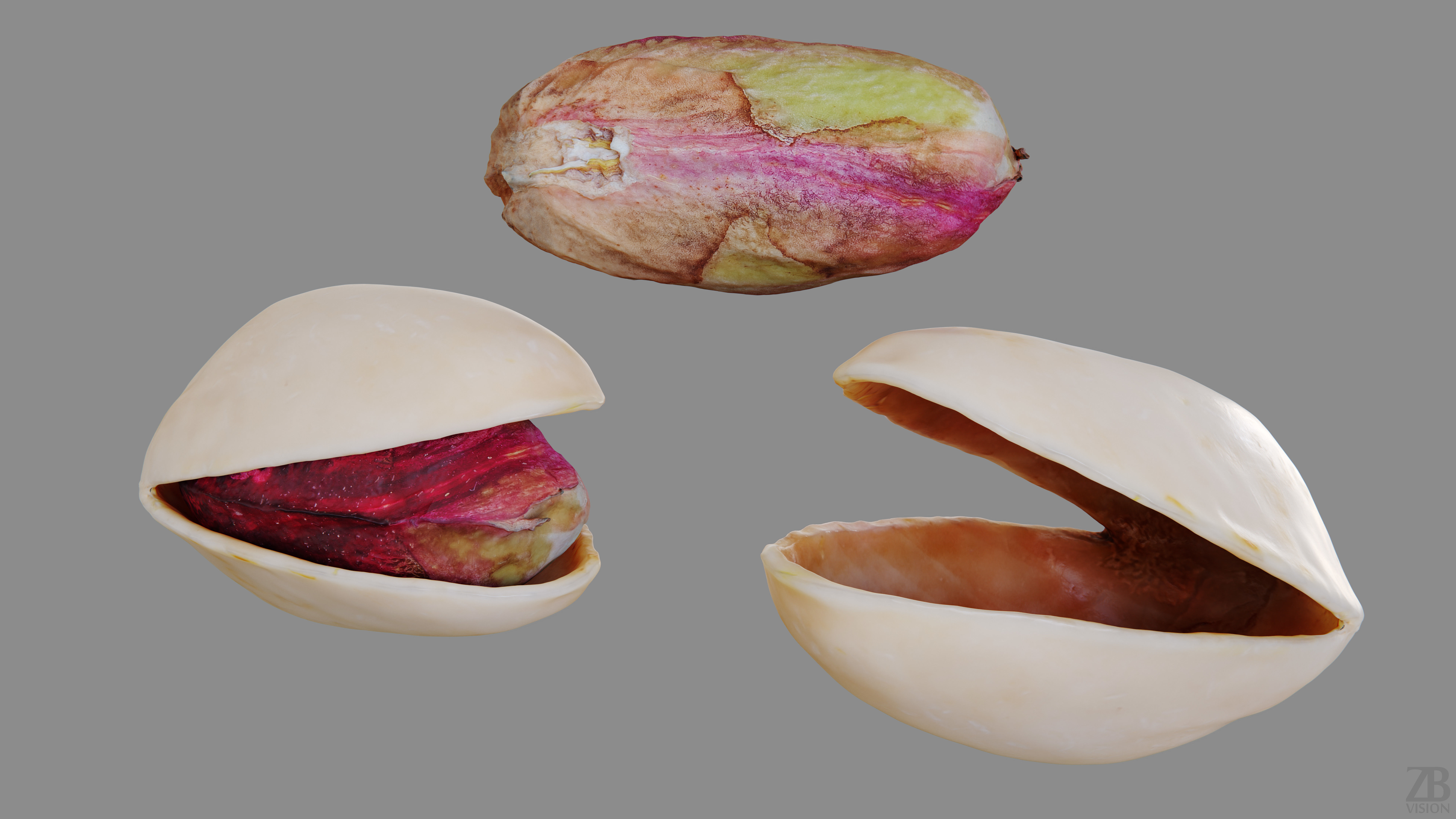 Pistachio 3D model_22