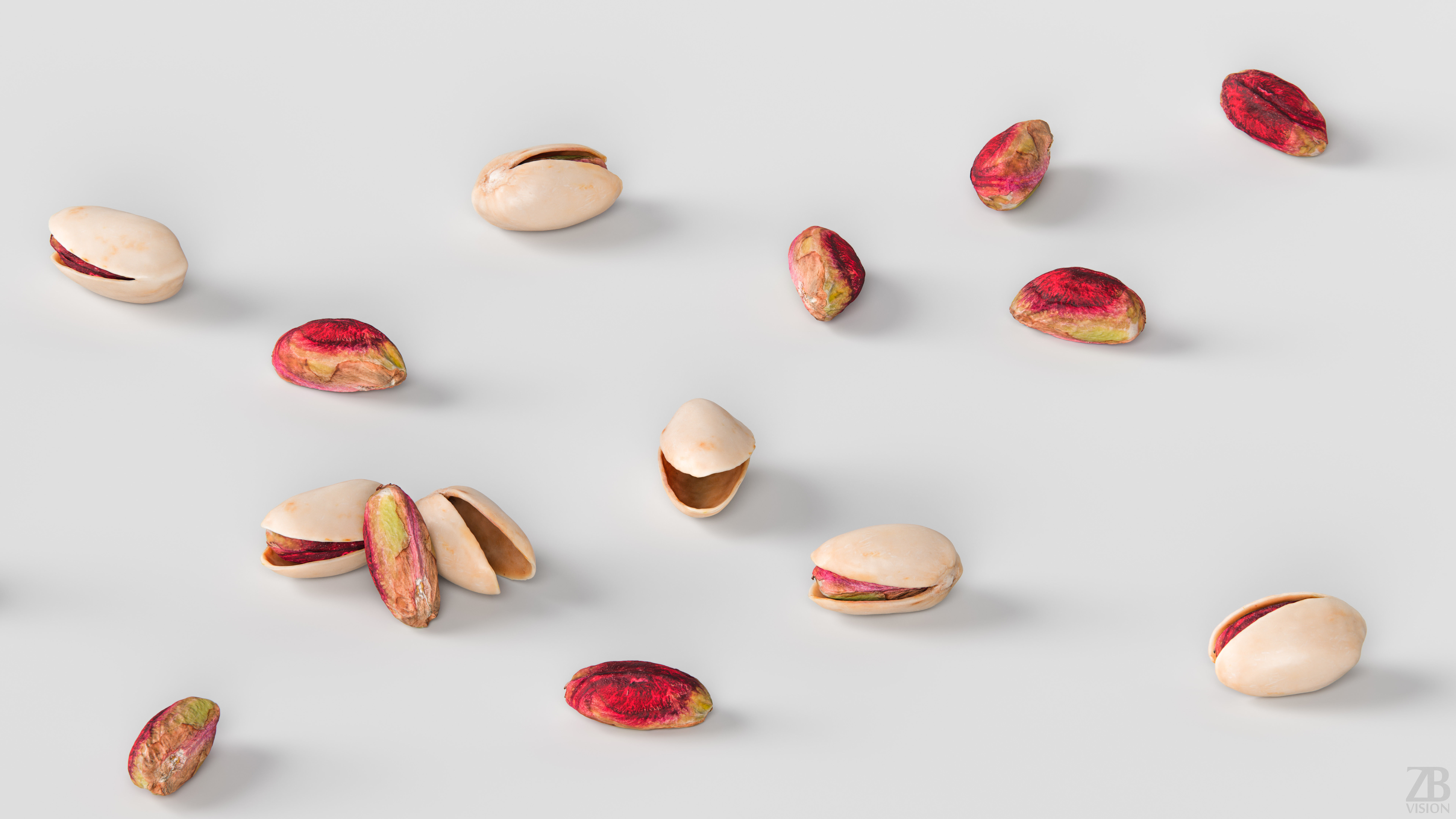 Pistachio 3D model_2
