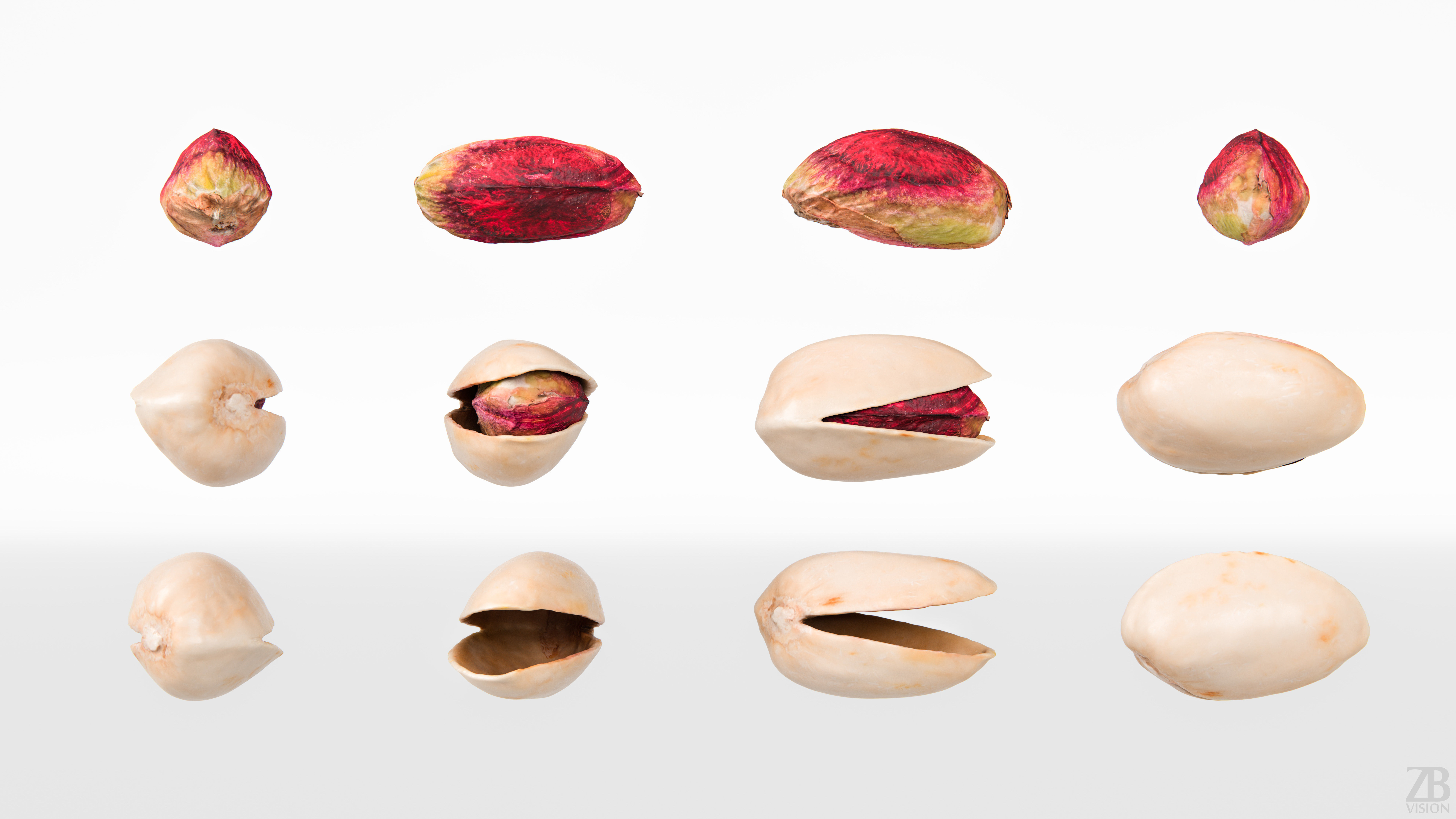Pistachio 3D model_4