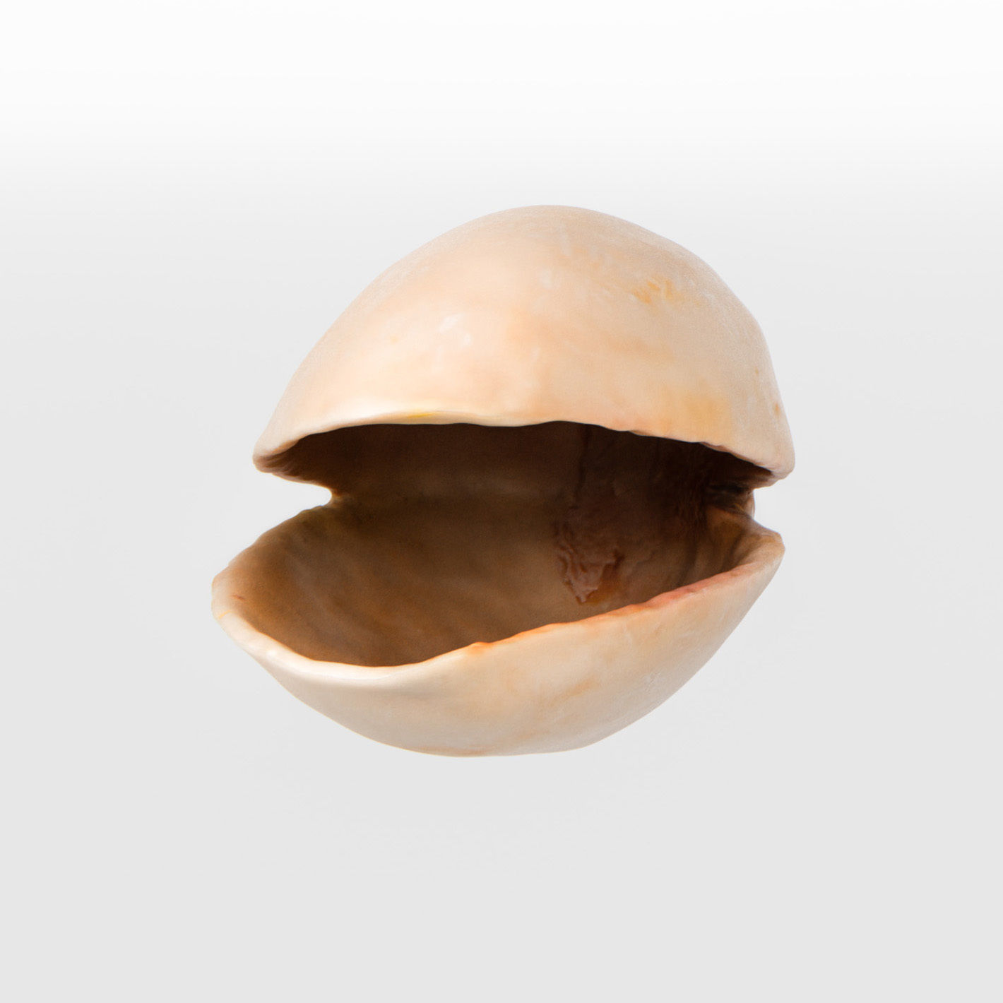 Pistachio 3D model_14