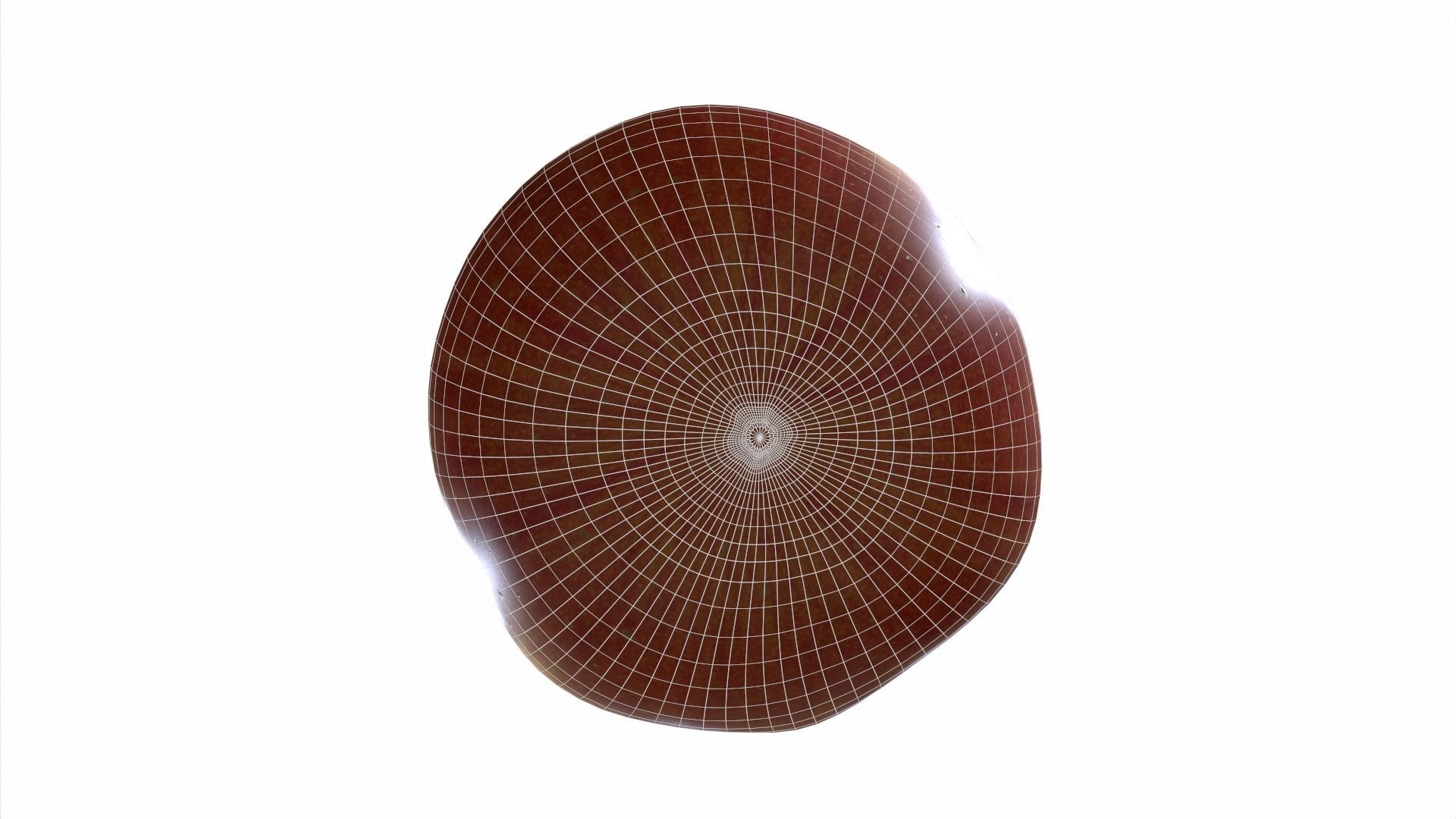 Apple fruit Low-poly 3D model_8