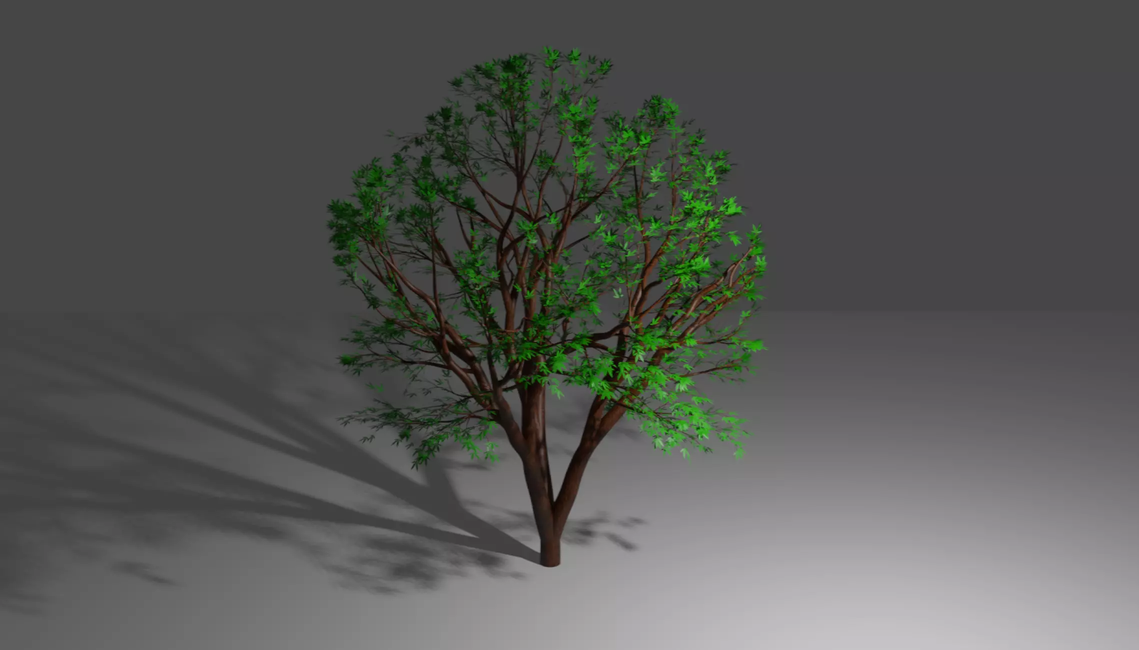 Tree top 3D model_0