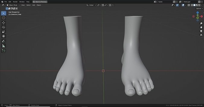 Feet with nails 3D model