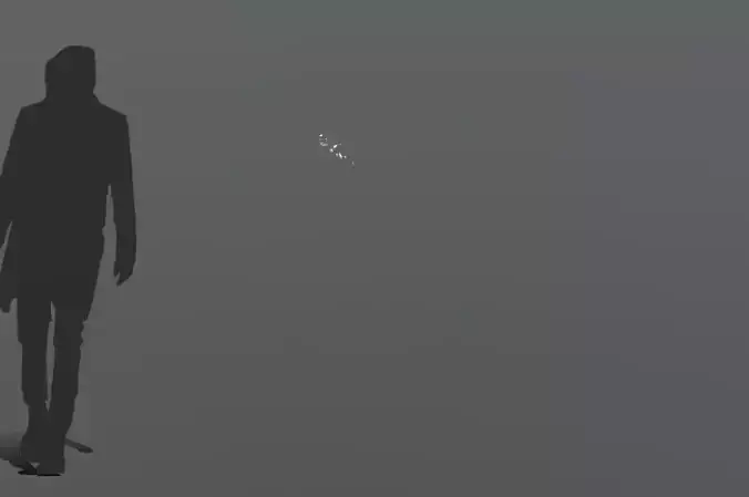 FeatherShoot03 30 Low-poly 3D model