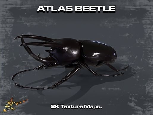 Atlas Beetle Low-poly 3D model