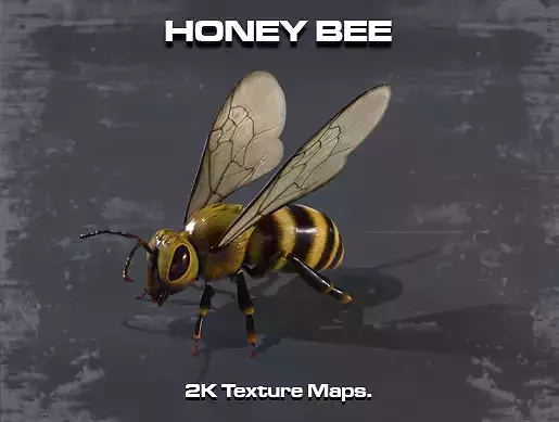 Honey Bee Low-poly 3D model