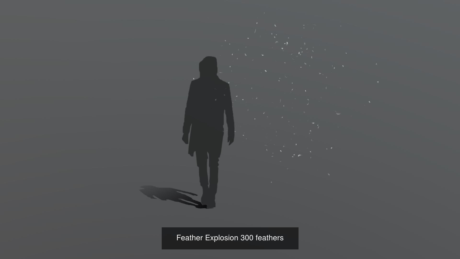 Feather Animation Collection Discount 33 percent off _25