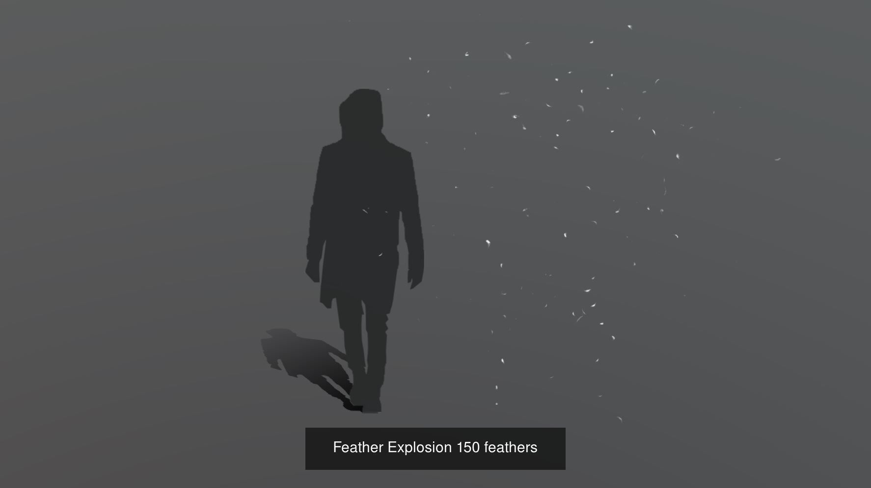 Feather Animation Collection Discount 33 percent off _27