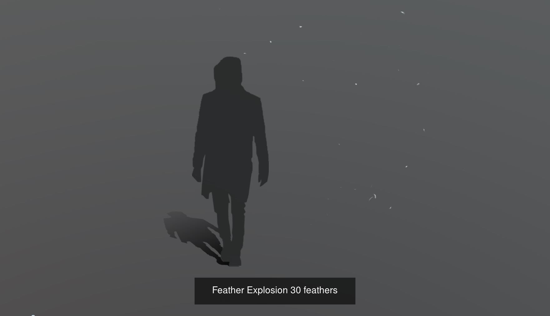 Feather Animation Collection Discount 33 percent off _26