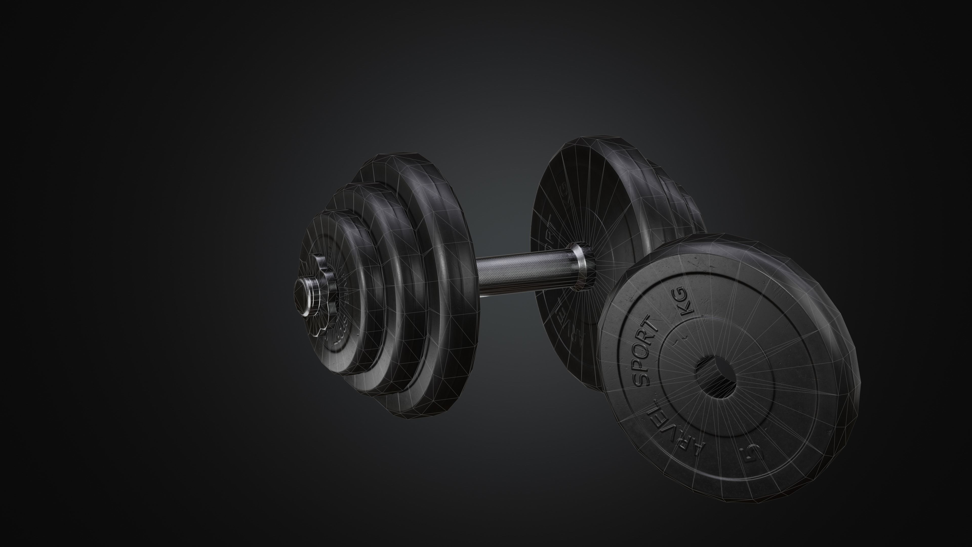 Dumbbell pair of dumbbells Low-poly 3D model_7