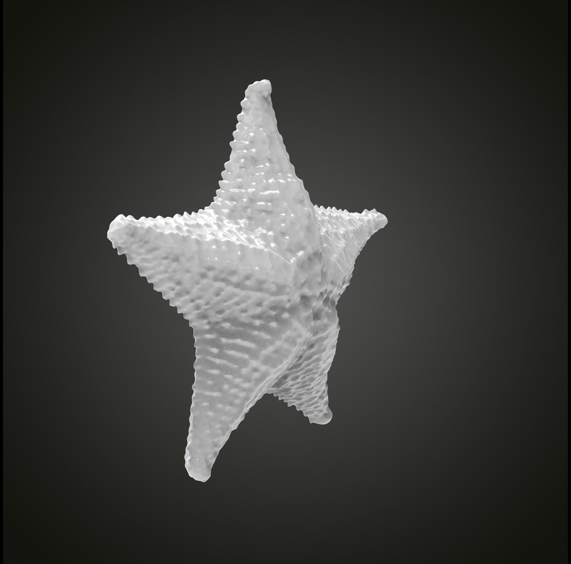 Starfish gold 3D print model_10