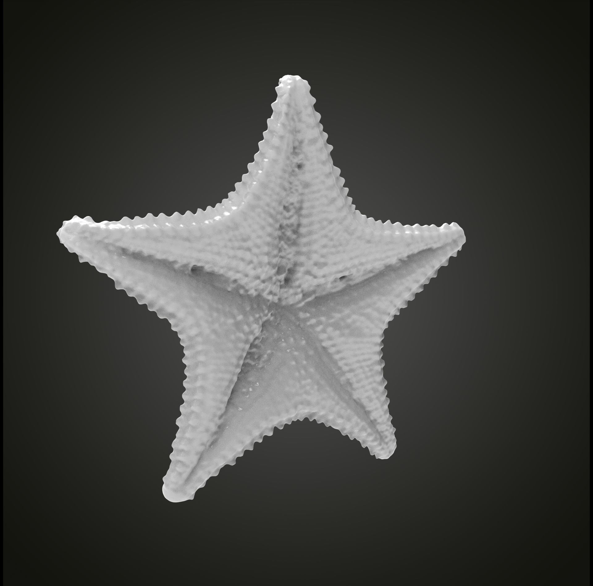 Starfish gold 3D print model_1